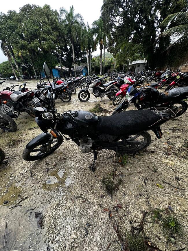 Foto Site