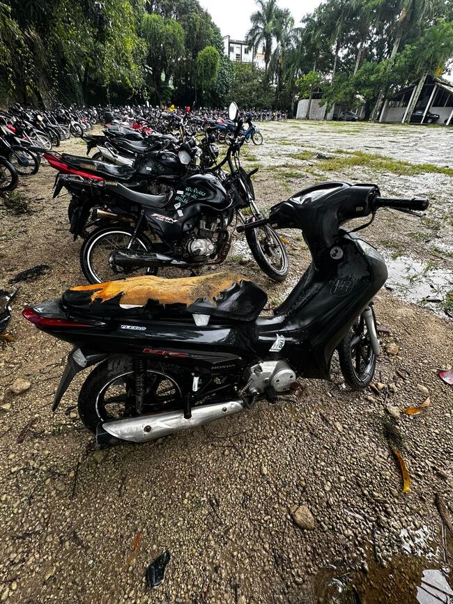 Foto Site