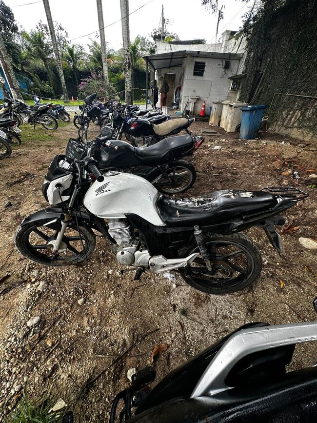 Foto Site