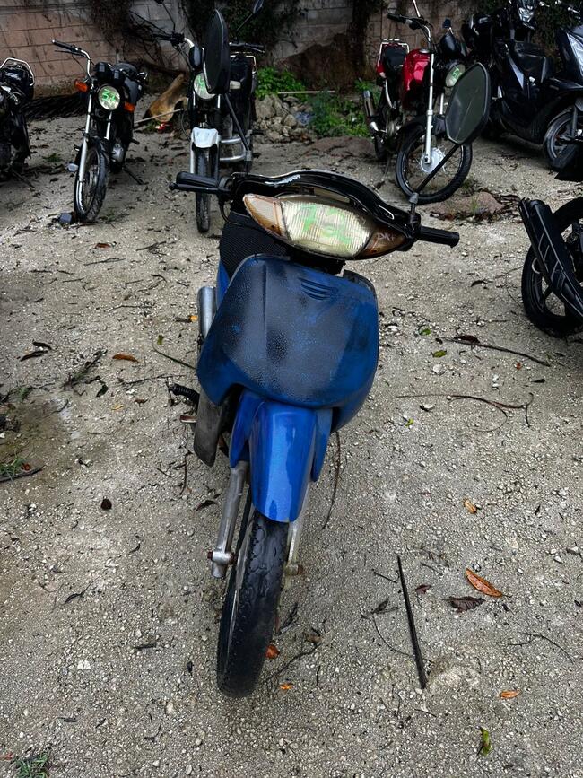 Foto Site