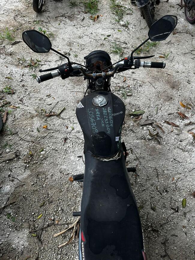 Foto Site