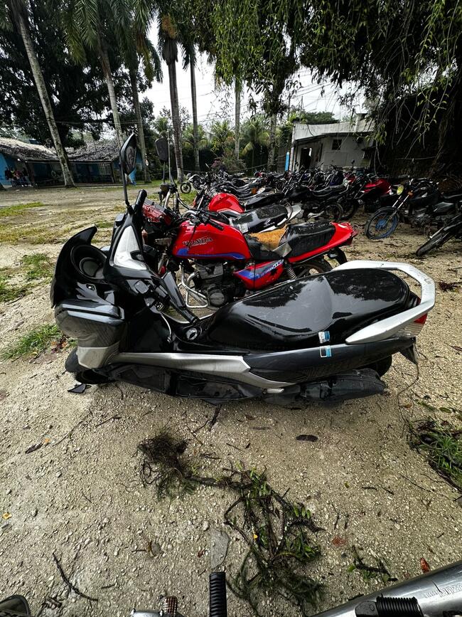 Foto Site