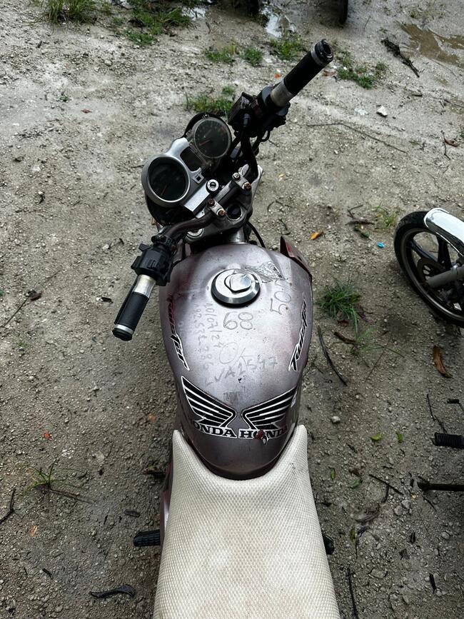 Foto Site