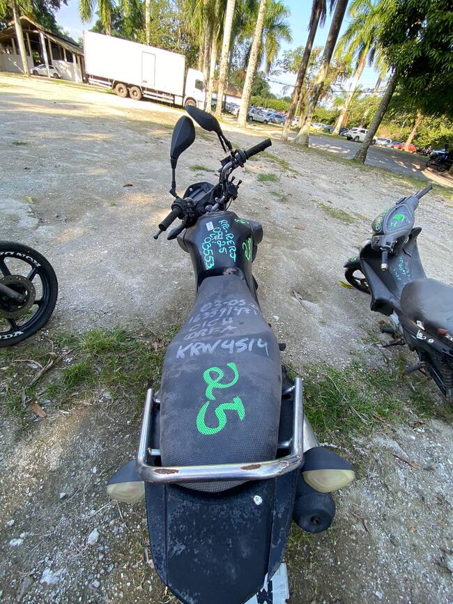 Foto Site