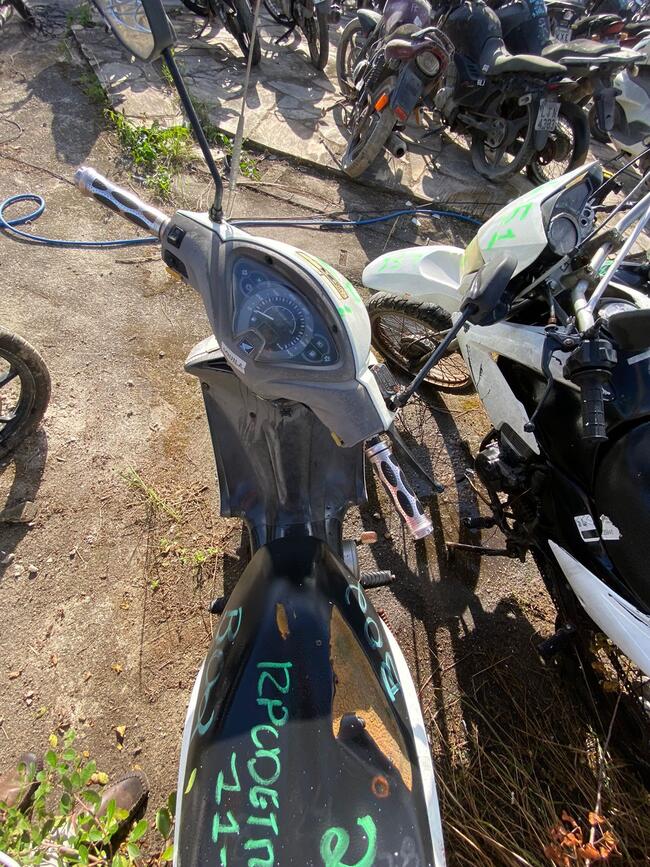 Foto Site