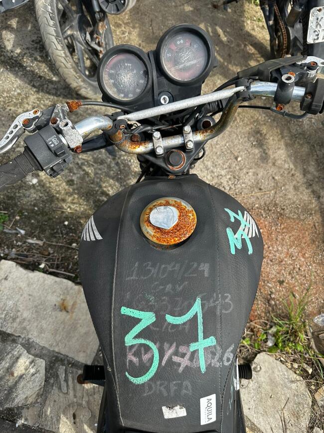 Foto Site