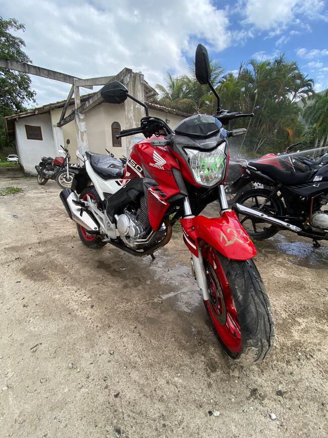 Foto Site