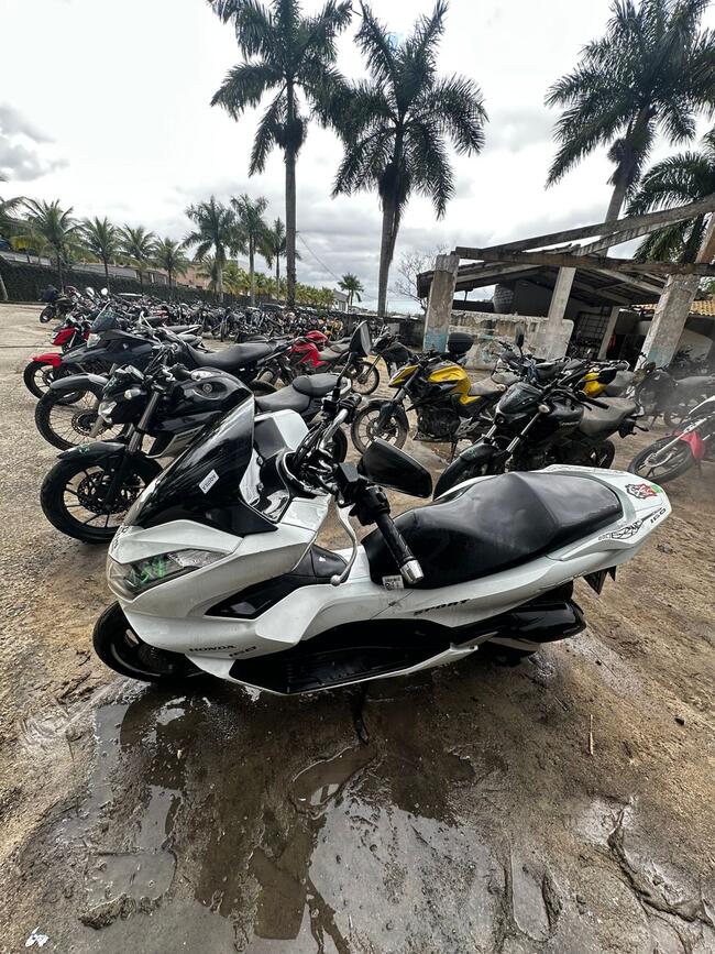 Foto Site