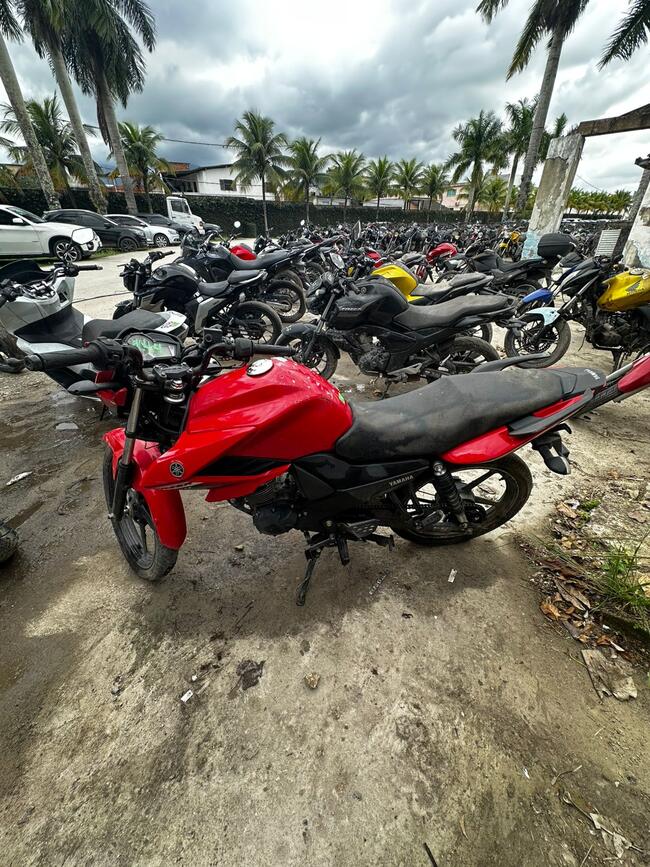 Foto Site