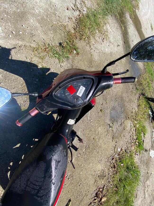 Foto Site