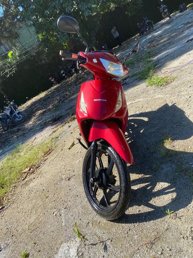Foto Site