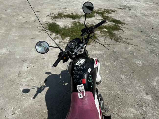 Foto Site