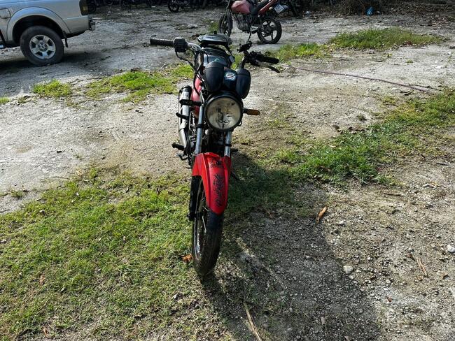 Foto Site