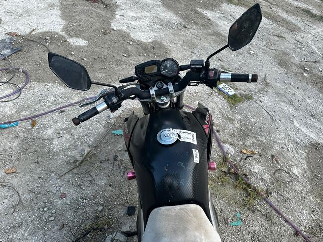 Foto Site