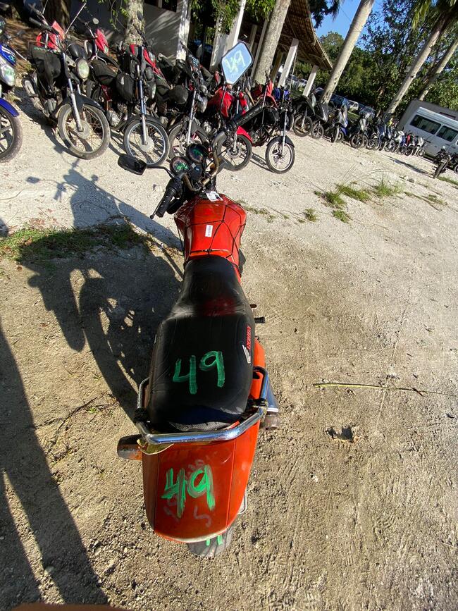 Foto Site