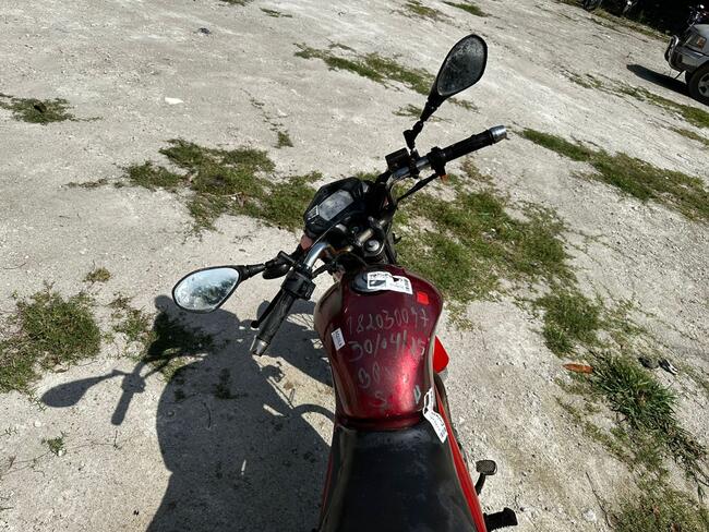 Foto Site