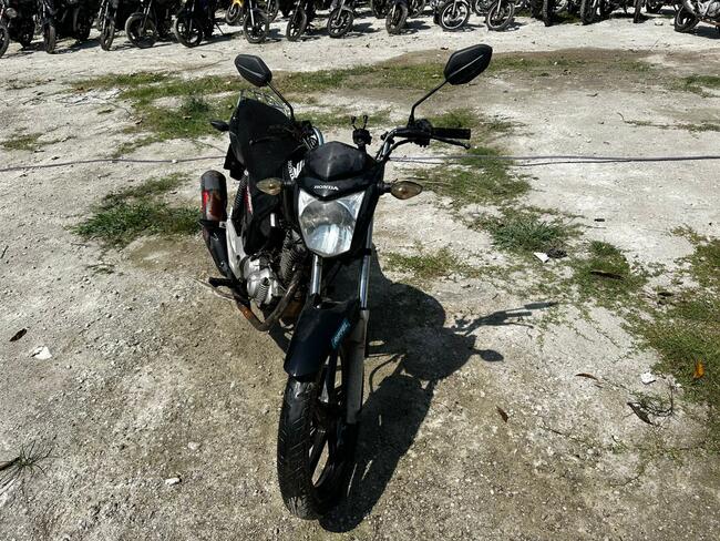 Foto Site