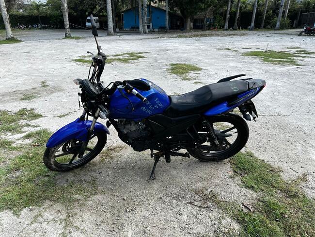 Foto Site