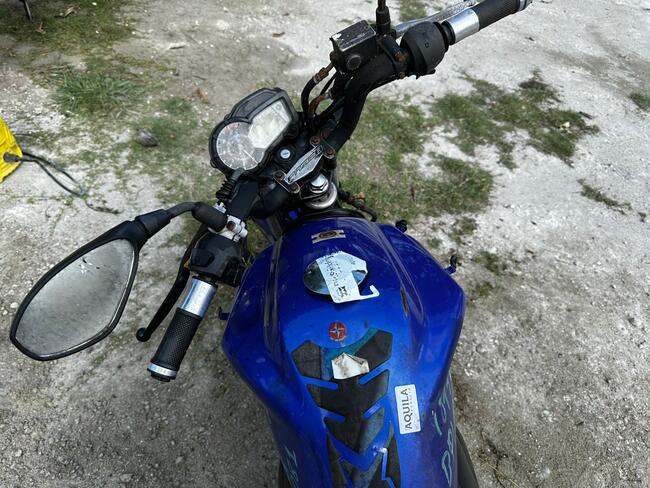 Foto Site