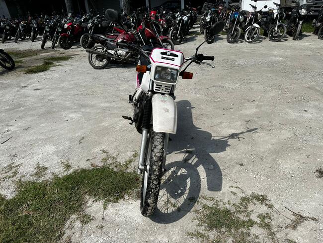 Foto Site