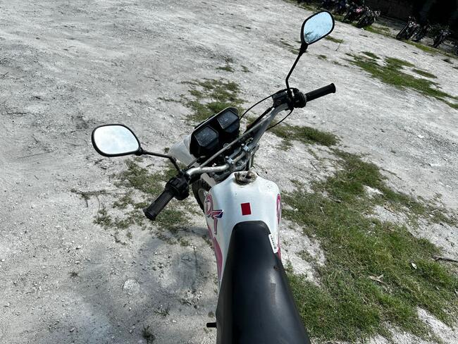 Foto Site