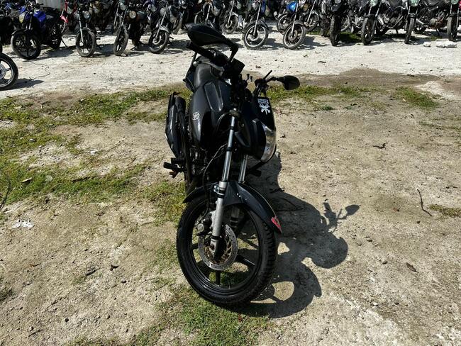 Foto Site