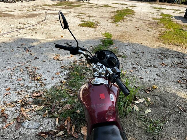 Foto Site