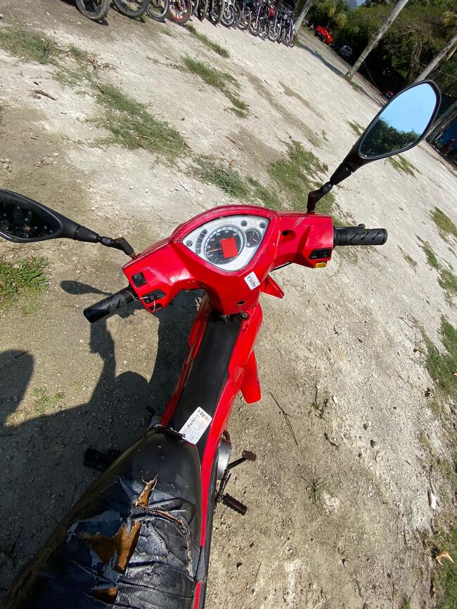 Foto Site