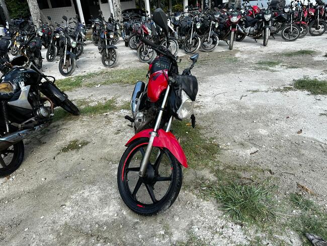 Foto Site