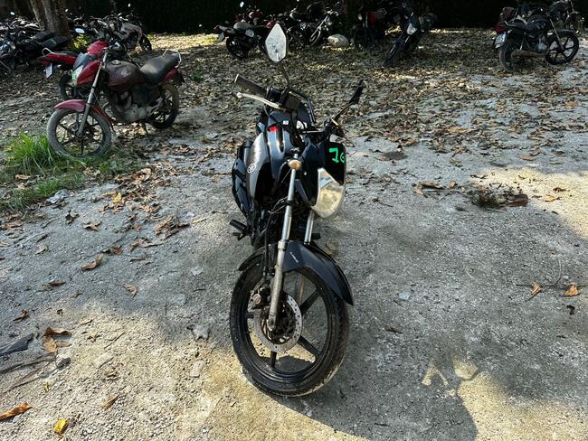 Foto Site