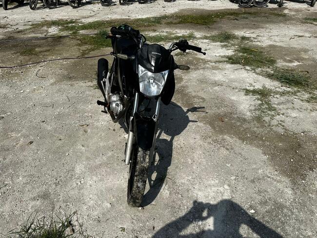 Foto Site