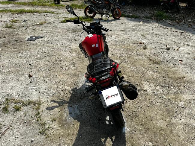 Foto Site