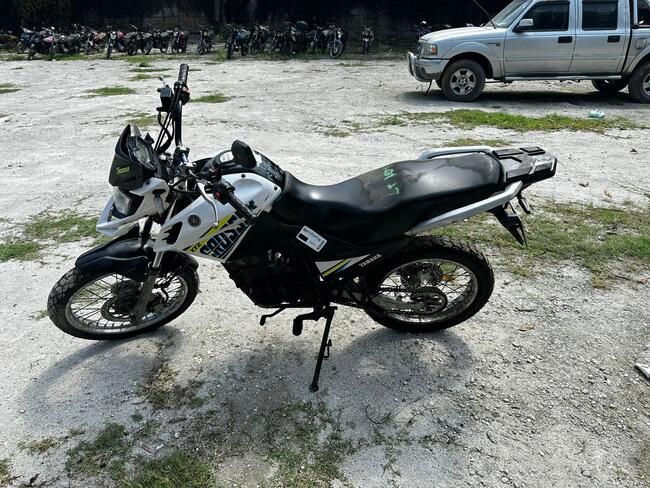 Foto Site