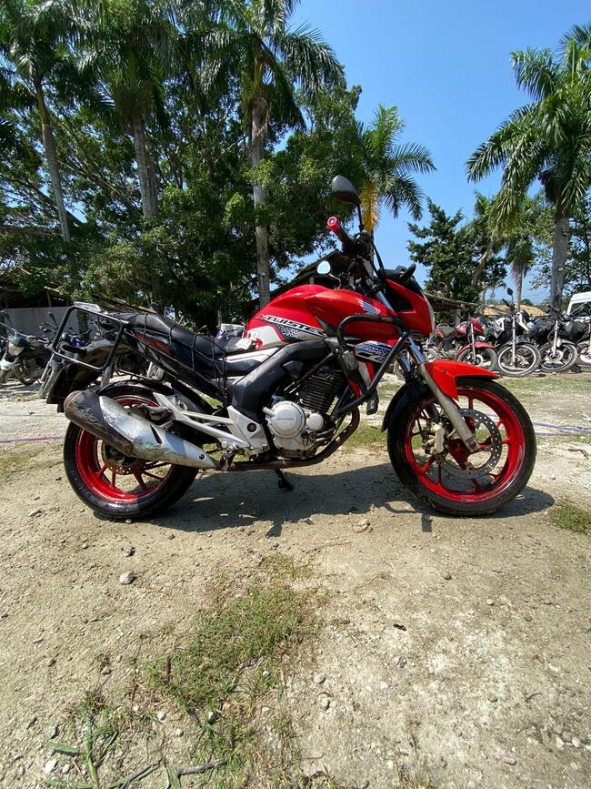 Foto Site