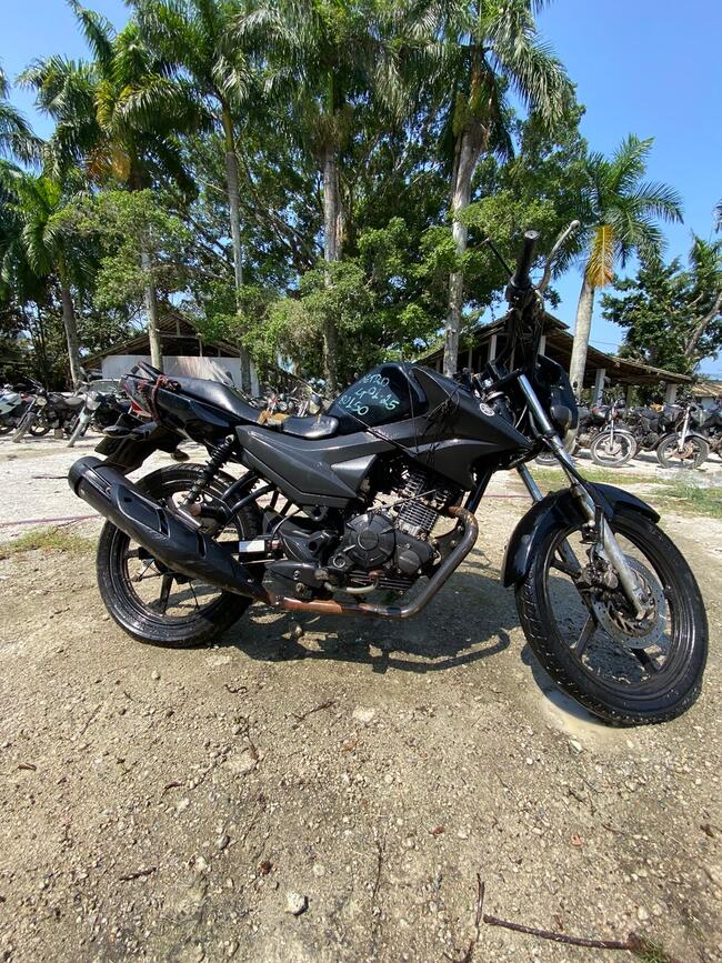Foto Site