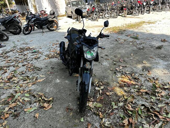 Foto Site