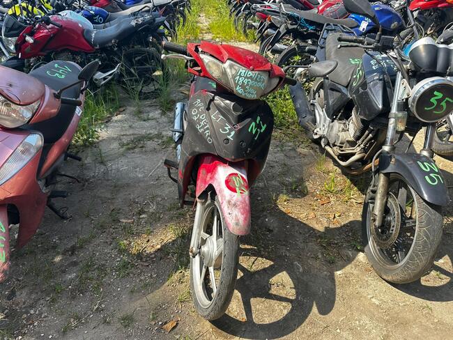 Foto Site