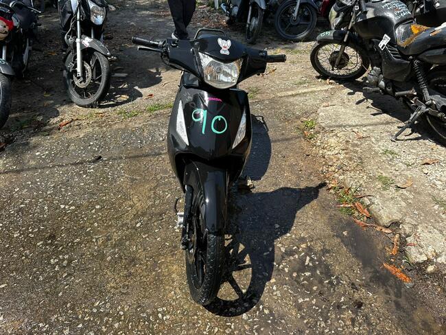 Foto Site