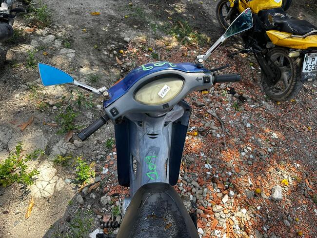 Foto Site