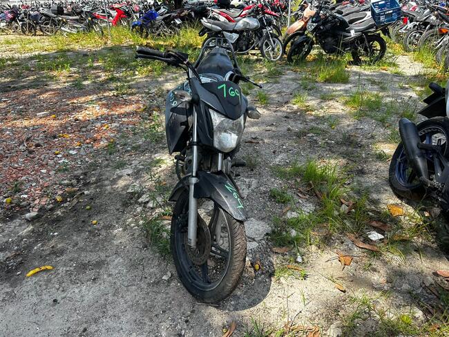 Foto Site