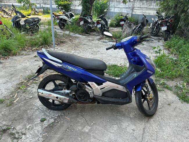 Foto Site