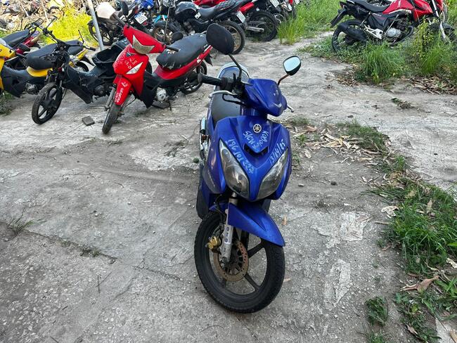 Foto Site