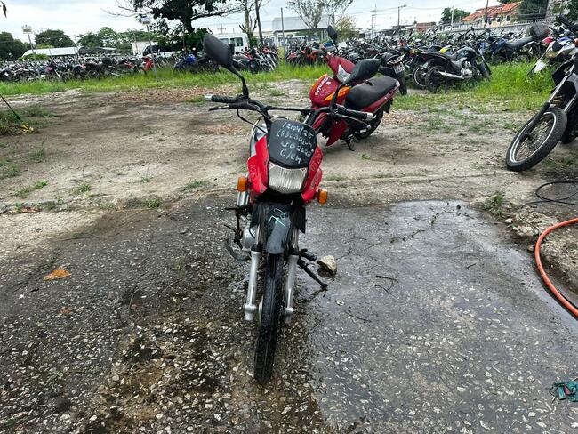 Foto Site