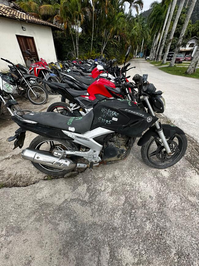 Foto Site