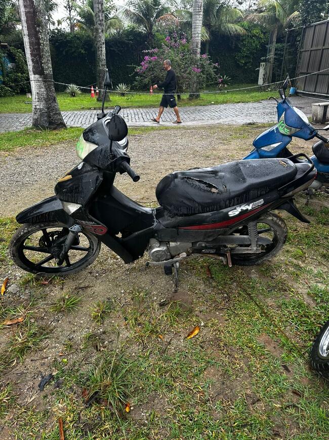 Foto Site