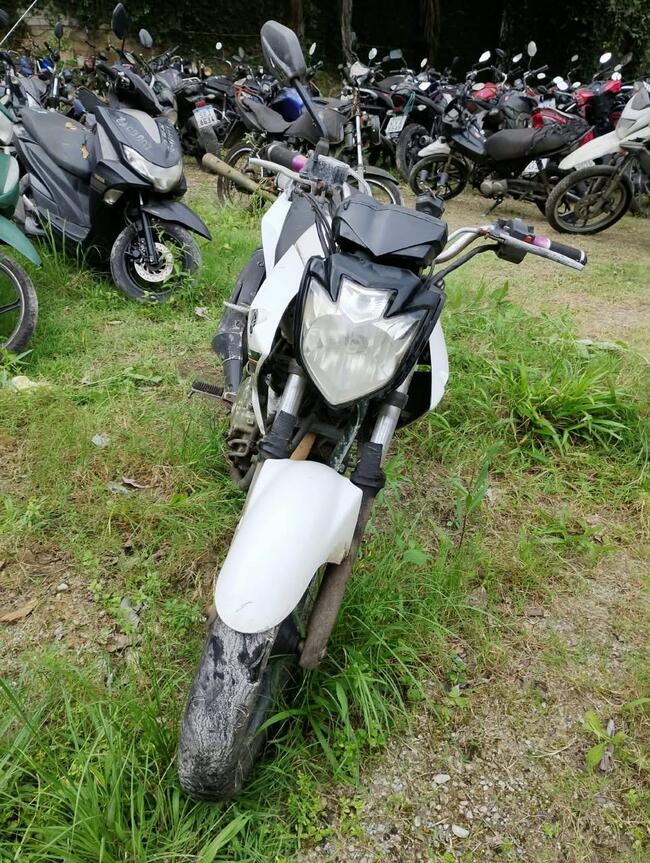Foto Site