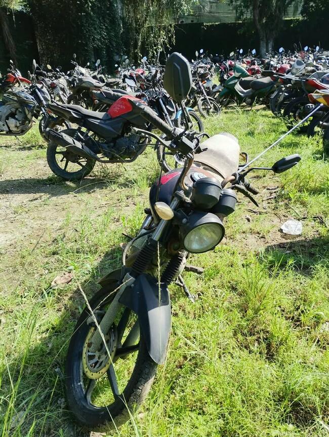 Foto Site