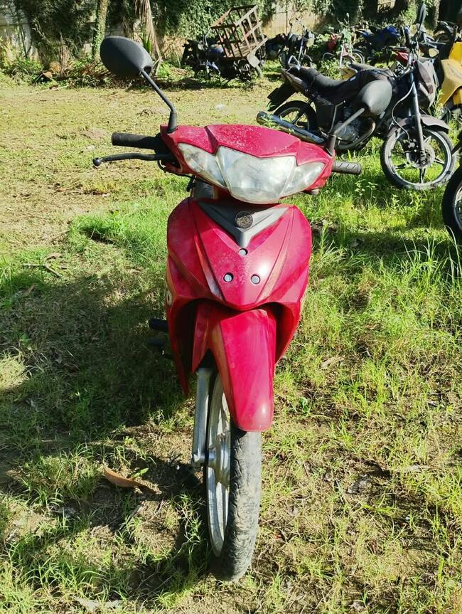 Foto Site