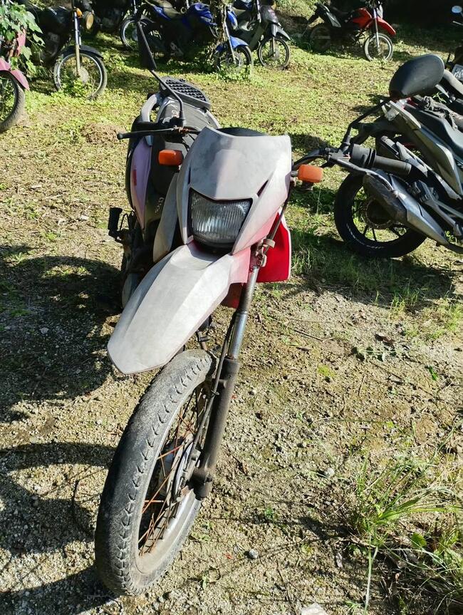 Foto Site