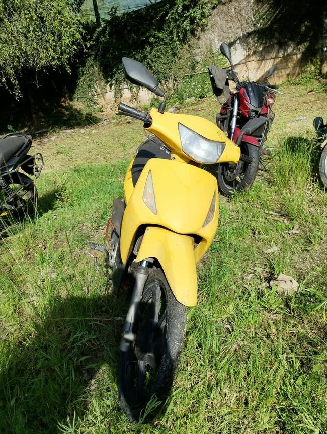 Foto Site